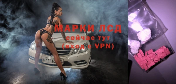 стафф Алексин