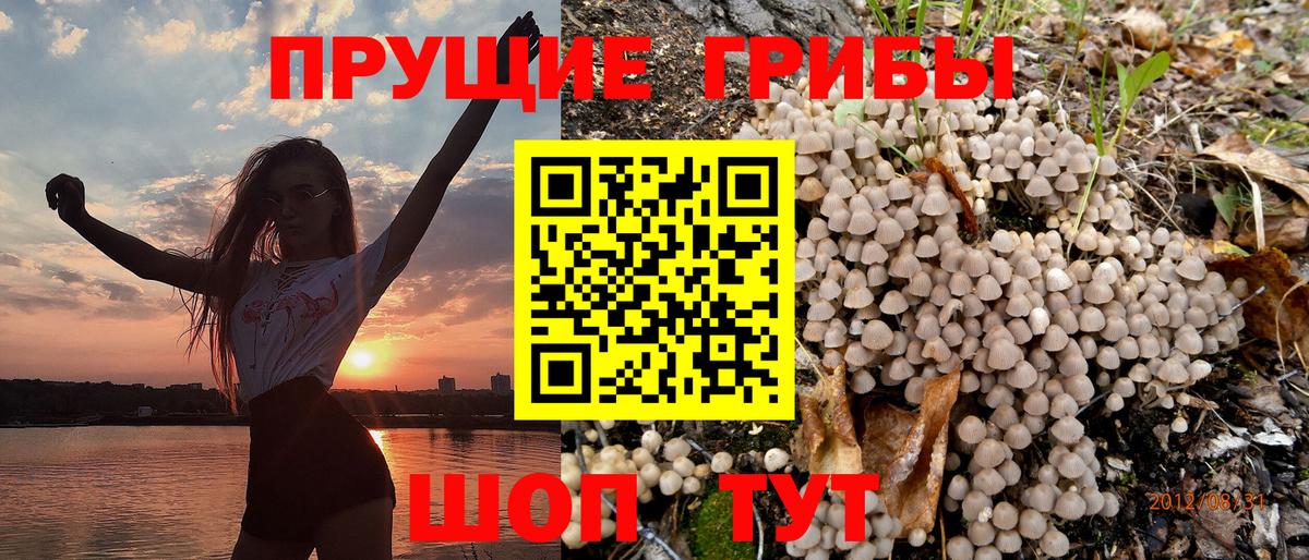 Псилоцибиновые грибы мицелий Дюртюли
