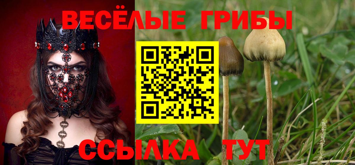 Галлюциногенные грибы Cubensis  Вход с VPN  Дюртюли 